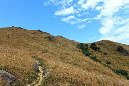 山景