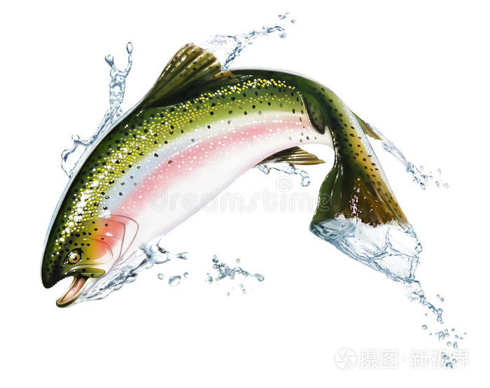 下载小样发票合同问题/举报金鱼跳开把淡水倒在白色上面水花飞溅金鱼