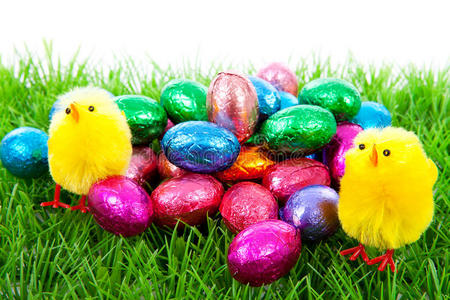 复活节鸡和草地上的彩蛋