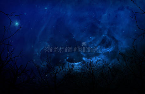 夜空中诡异的森林剪影图片