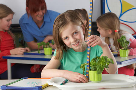 在学校课堂上学习植物的女孩