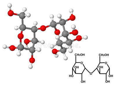 化学式麦芽糖分子照片