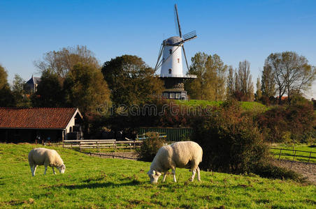 veere meadow场景