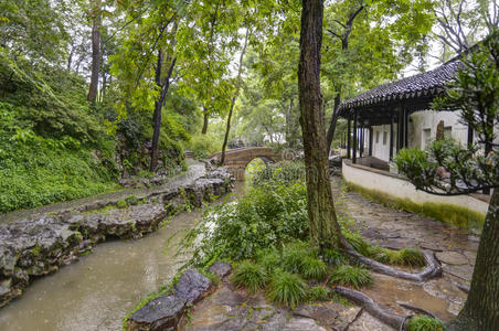 运河 树叶 自然 植物学 作文 建筑 江苏 建筑学 和谐