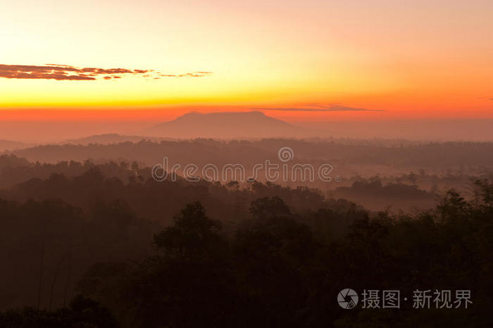 雾林山日出