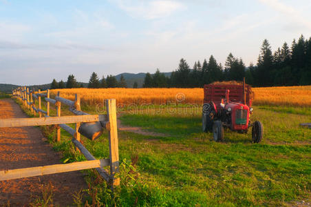 农业景观草地拖拉机