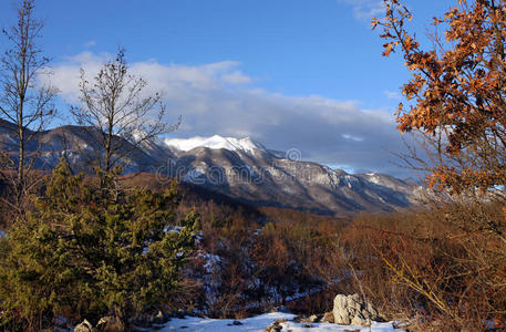 冬季景观