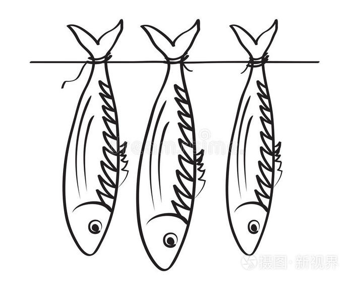 海蟑螂.家畜插画-正版商用图片0l3b3f-摄图新视界