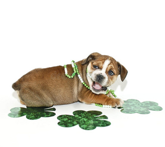 西班牙斗牛节图片