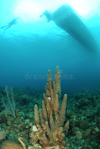 珊瑚礁潜水艇