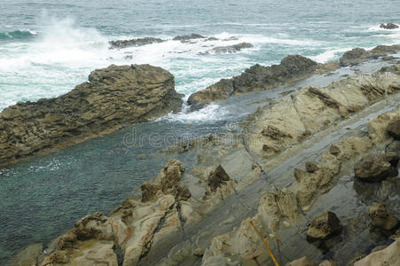 太平洋海岸线