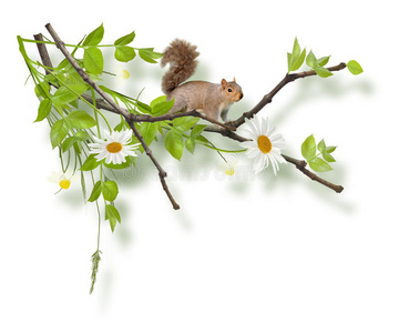 树上有松鼠的独立绘画作品
