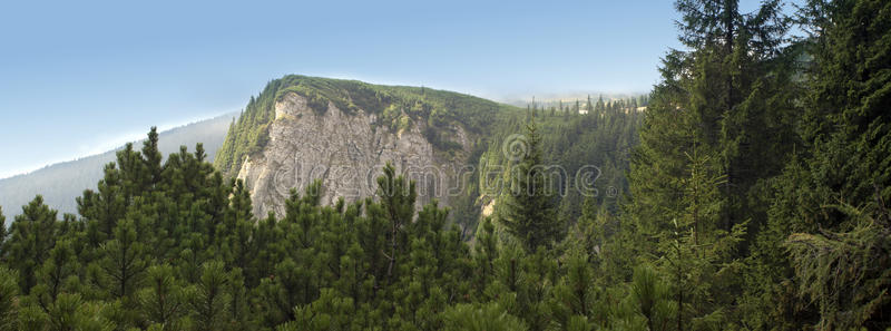 山体 美丽的 森林 草地 高的 小山 植物区系 欧洲 纳特