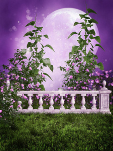 带篱笆的紫色花园