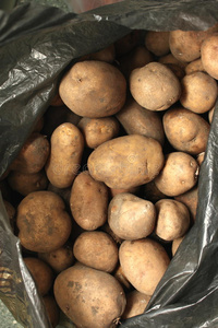 满满一袋的土豆