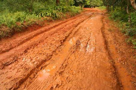 泥泞的道路