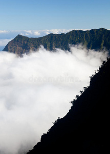 卡拉劳山谷考艾岛上的雾