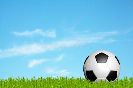 草地上的足球