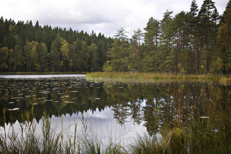 芬兰湖边景色