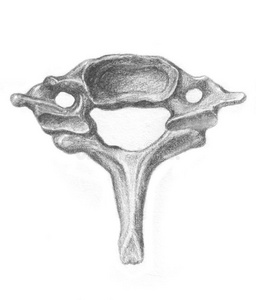 颈椎医疗插画-颈椎医疗手绘-颈椎医疗卡通图-摄图新视界