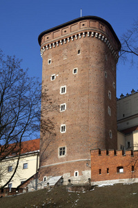 克拉科夫皇家城堡瓦维尔山波兰