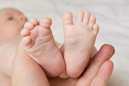 玩她的脚妈妈手里的小脚丫小孩脚和雏菊花向绿色的草小黑脚猫(felis