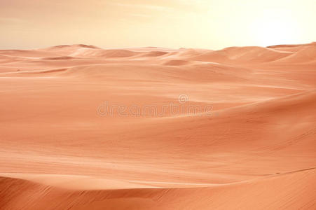 埃及日落时的撒哈拉沙漠沙丘