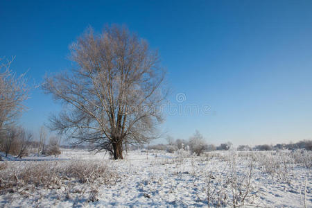 冬季风景区图片