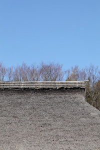 茅草屋顶图片