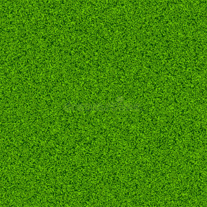 无缝绿草地照片