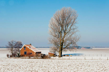荷兰冬季农场