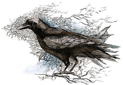 恐怖乌鸦乌鸦图片
