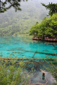 九寨沟福里斯特湖