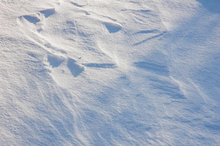 白雪