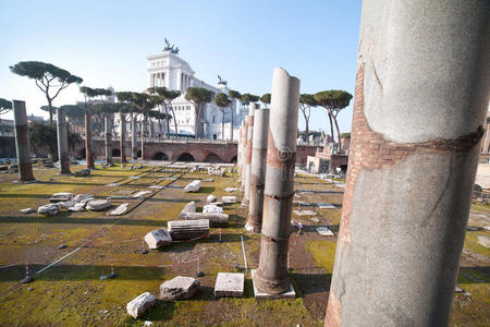 意大利罗马的废墟。