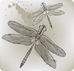 飞蜻蜓，手绘。矢量插图