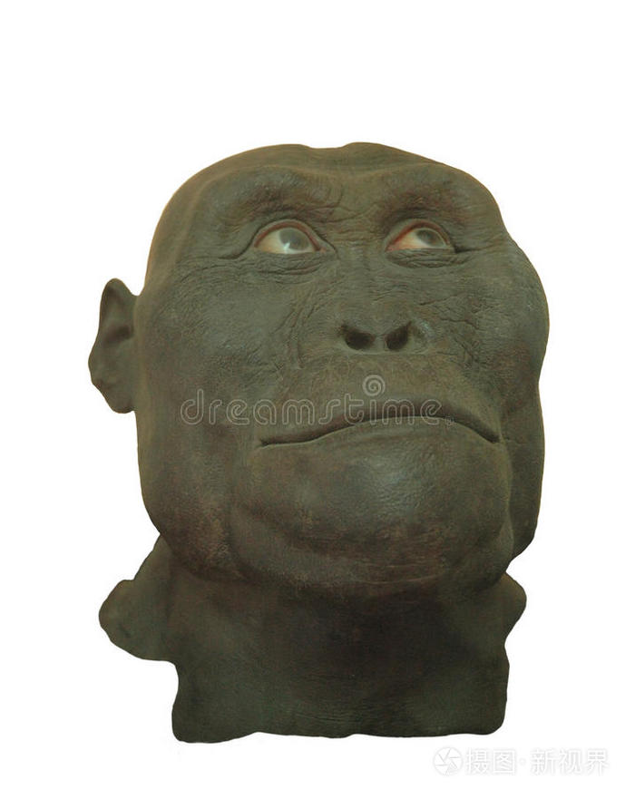 古人尼安德特人的表情岩画原始岩画岩石上的大象直立人和智人比较-三