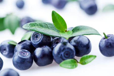 蓝莓。白叶浆果