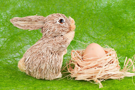 兔子蛋蛋照片图片