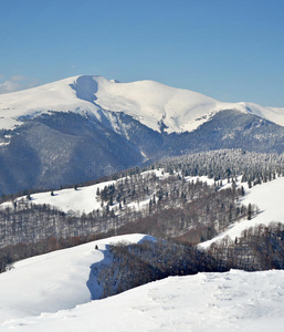 从悬崖上看雪山