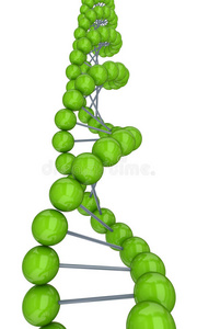 基因组 国防部 原子 进化 生物技术 医学 细胞 健康 生活