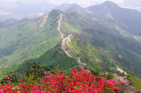 阿尔卑斯山