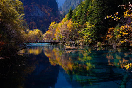 储备 九寨沟 遗产 历史的 公园 风景 瓷器 地区 生物圈