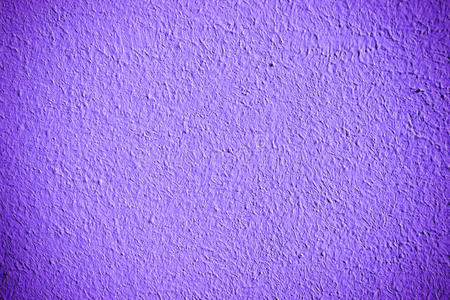 紫罗兰墙