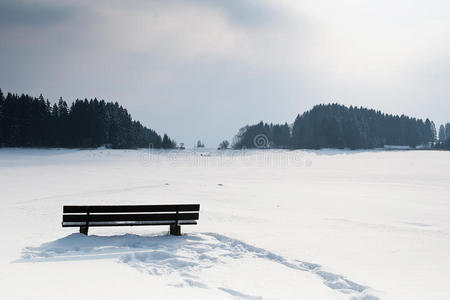 雪景中的长凳