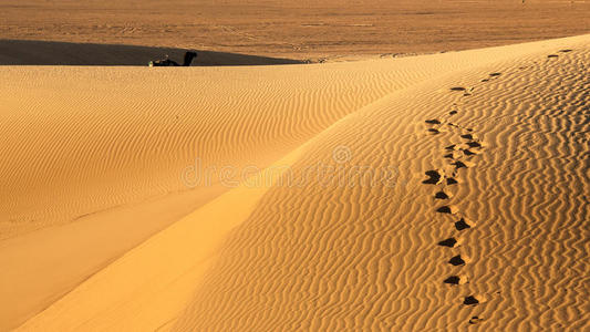 驼峰沙丘图片
