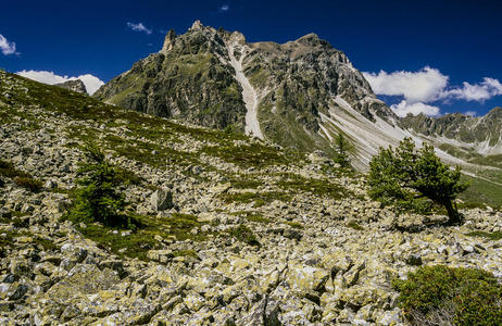 瑞士阿尔卑斯山