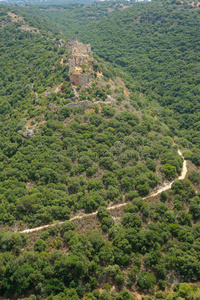 蒙福特山