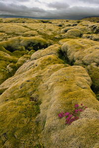 冰岛火山熔岩图片