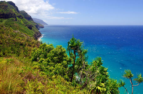 夏威夷热带海岸